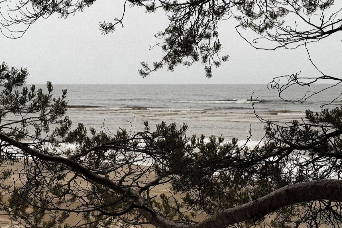 Пара на консультации у психолога