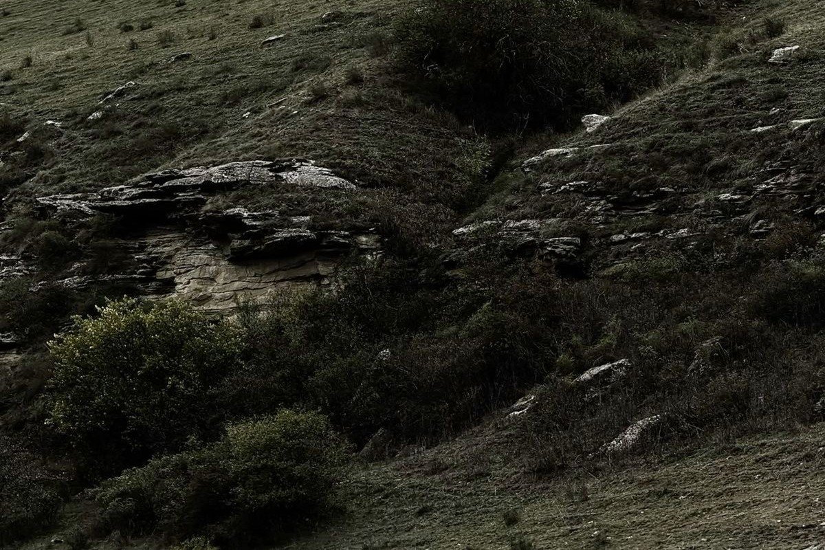 Индивидуальная консультация психолога